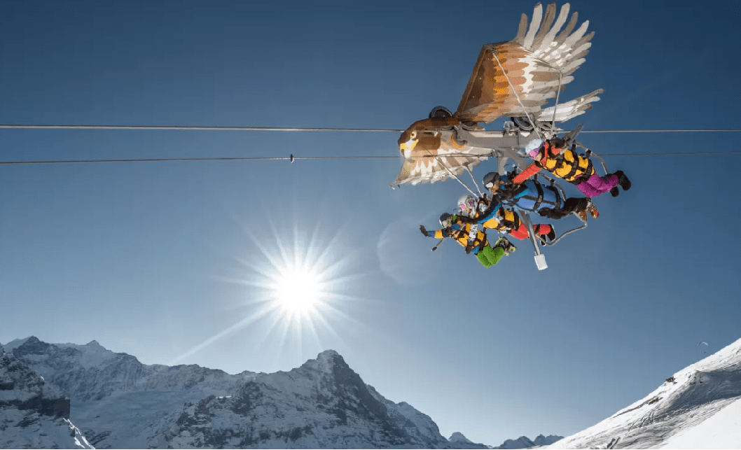 2019瑞士first glider.png