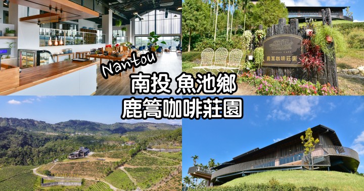 【南投景點】鹿篙咖啡莊園-俯瞰絕美山林的景觀咖啡廳|新IG打卡景點|近日月潭|魚池鄉|